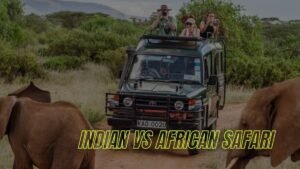Indian vs African Safari: Which Jungle Adventure Is Right for You?