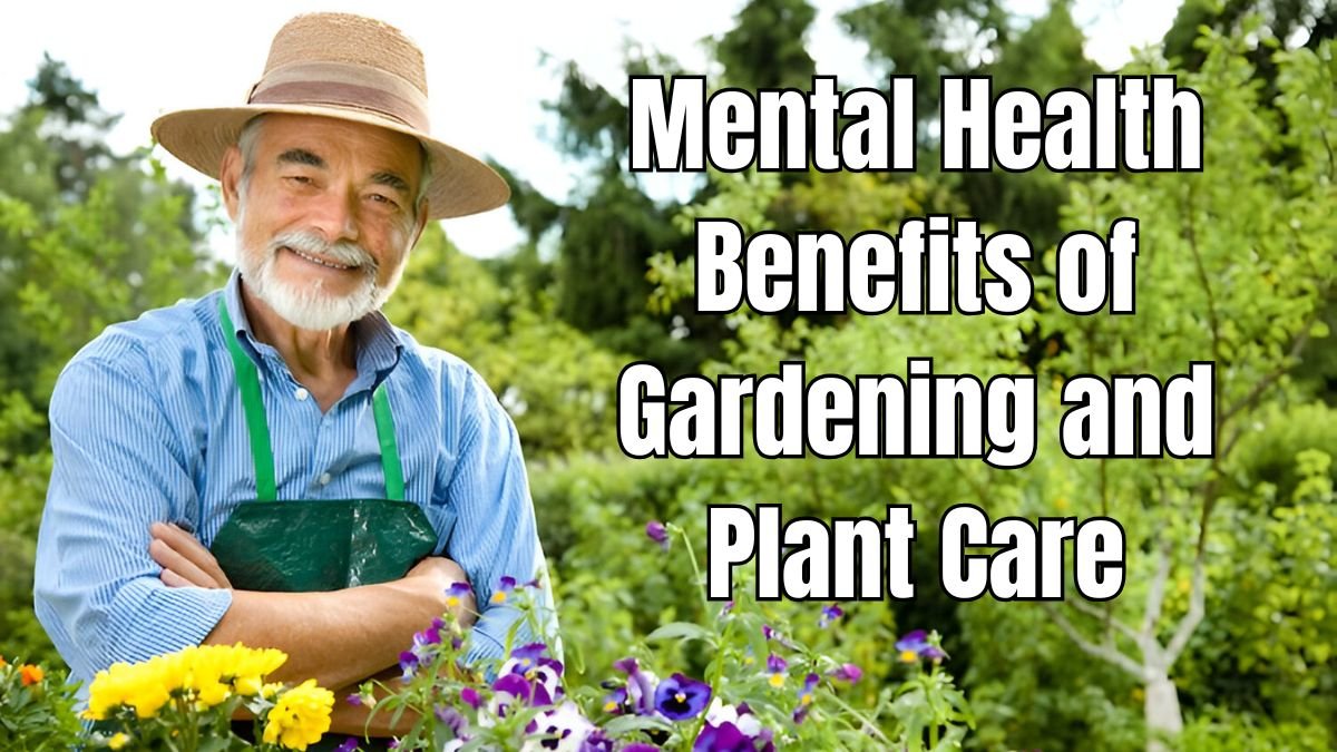 The Mental Health Benefits of Gardening and Plant Care