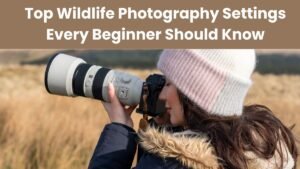 Top Wildlife Photography Settings Every Beginner Should Know